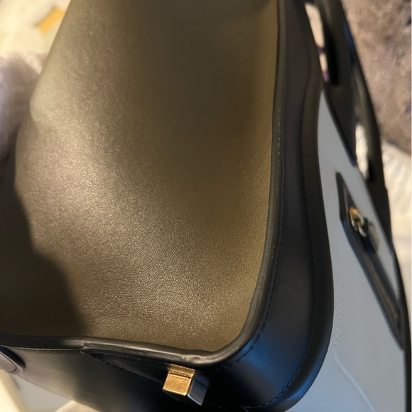 Celine Tri-Colored Luggage Tote - Picture 8 of 14